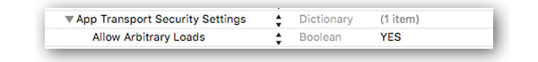 app transport security settings